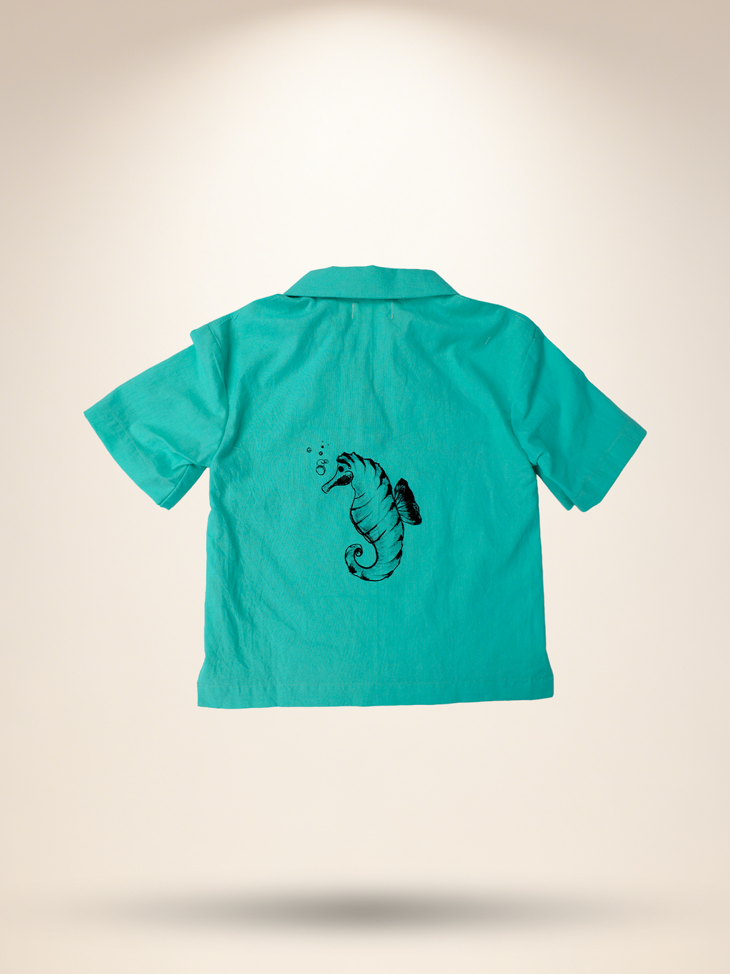 Aqua green co-ord set