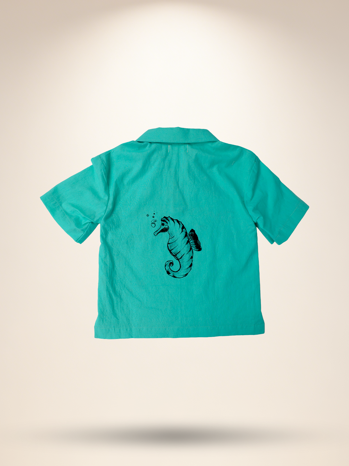 Aqua green co-ord set